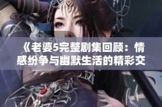 《老婆5完整剧集回顾：情感纷争与幽默生活的精彩交织》