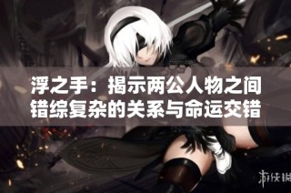 浮之手：揭示两公人物之间错综复杂的关系与命运交错