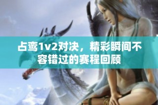 占鸾1v2对决，精彩瞬间不容错过的赛程回顾