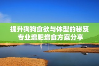 提升狗狗食欲与体型的秘笈 专业增肥增食方案分享