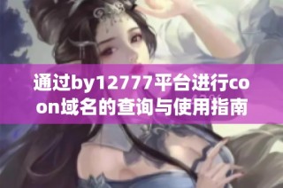通过by12777平台进行coon域名的查询与使用指南
