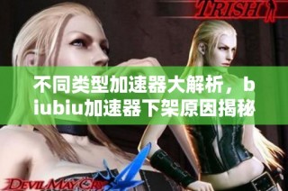 不同类型加速器大解析，biubiu加速器下架原因揭秘
