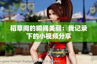稻草间的瞬间美丽：我记录下的小视频分享