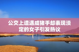 公交上遭遇咸猪手却表现淡定的女子引发热议
