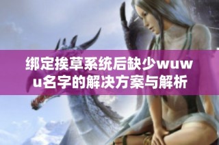 绑定挨草系统后缺少wuwu名字的解决方案与解析