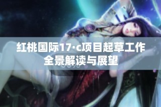 红桃国际17·c项目起草工作全景解读与展望
