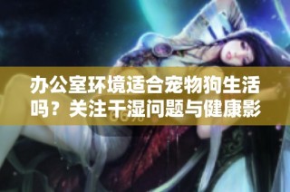 办公室环境适合宠物狗生活吗？关注干湿问题与健康影响