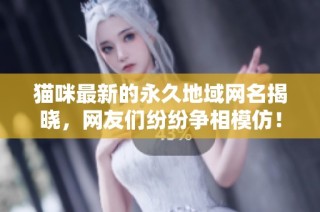 猫咪最新的永久地域网名揭晓，网友们纷纷争相模仿！