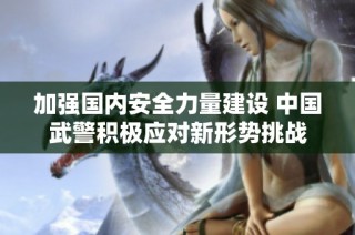 加强国内安全力量建设 中国武警积极应对新形势挑战