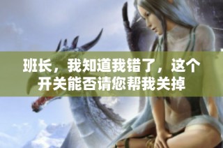 班长，我知道我错了，这个开关能否请您帮我关掉