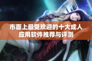 市面上最受欢迎的十大成人应用软件推荐与评测