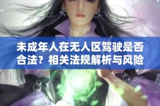 未成年人在无人区驾驶是否合法？相关法规解析与风险提示