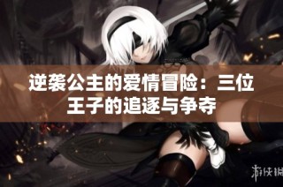 逆袭公主的爱情冒险：三位王子的追逐与争夺