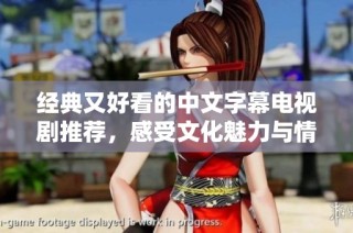 经典又好看的中文字幕电视剧推荐，感受文化魅力与情感共鸣
