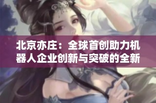 北京亦庄：全球首创助力机器人企业创新与突破的全新策略