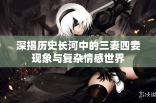 深揭历史长河中的三妻四妾现象与复杂情感世界