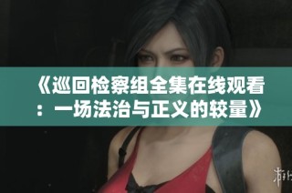 《巡回检察组全集在线观看：一场法治与正义的较量》