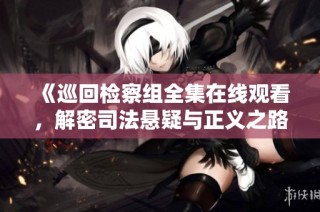 《巡回检察组全集在线观看，解密司法悬疑与正义之路》