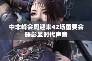 中非峰会周迎来42场重要会晤彰显时代声音