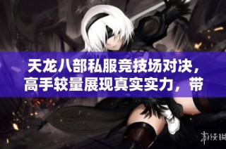 天龙八部私服竞技场对决，高手较量展现真实实力，带你领略精彩战斗！