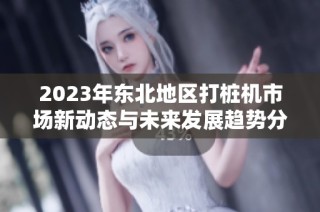 2023年东北地区打桩机市场新动态与未来发展趋势分析