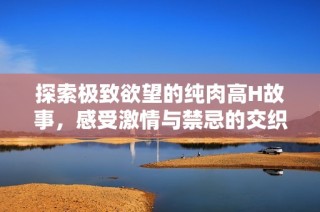 探索极致欲望的纯肉高H故事，感受激情与禁忌的交织