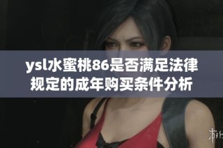 ysl水蜜桃86是否满足法律规定的成年购买条件分析