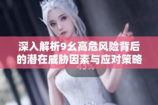 深入解析9幺高危风险背后的潜在威胁因素与应对策略