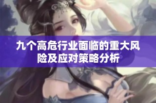 九个高危行业面临的重大风险及应对策略分析