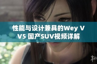 性能与设计兼具的Wey VV5 国产SUV视频详解