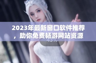 2023年最新窗口软件推荐，助你免费畅游网站资源