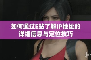 如何通过E站了解IP地址的详细信息与定位技巧