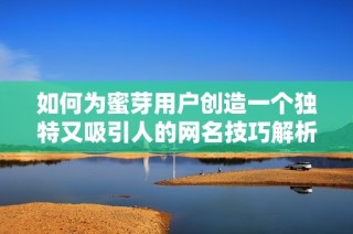 如何为蜜芽用户创造一个独特又吸引人的网名技巧解析