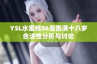 YSL水蜜桃86是否满十八岁合法性分析与讨论
