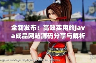 全新发布：高效实用的Java成品网站源码分享与解析