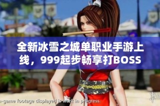 全新冰雪之城单职业手游上线，999起步畅享打BOSS乐趣！
