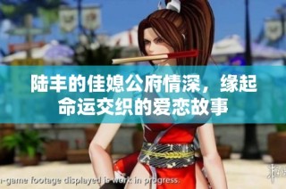 陆丰的佳媳公府情深，缘起命运交织的爱恋故事
