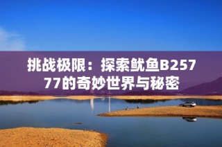 挑战极限：探索鱿鱼B25777的奇妙世界与秘密