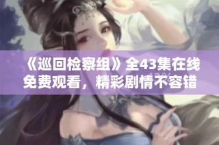 《巡回检察组》全43集在线免费观看，精彩剧情不容错过