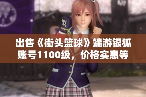 出售《街头篮球》端游银狐账号1100级，价格实惠等你来抢