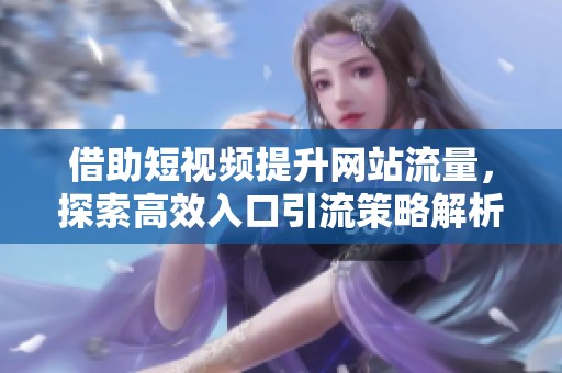 借助短视频提升网站流量，探索高效入口引流策略解析