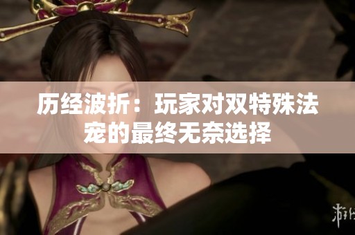 历经波折：玩家对双特殊法宠的最终无奈选择