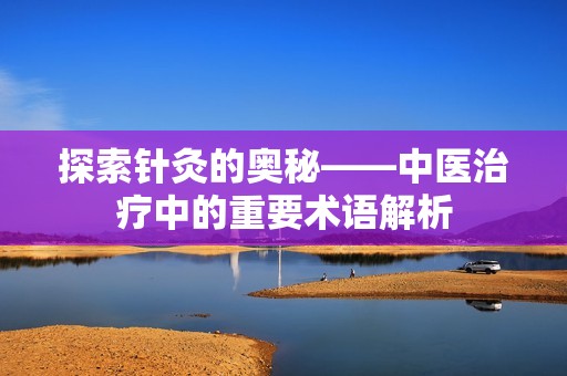 探索针灸的奥秘——中医治疗中的重要术语解析