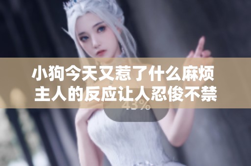 小狗今天又惹了什么麻烦 主人的反应让人忍俊不禁