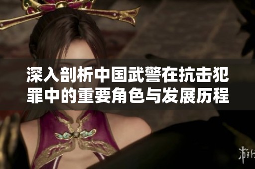 深入剖析中国武警在抗击犯罪中的重要角色与发展历程