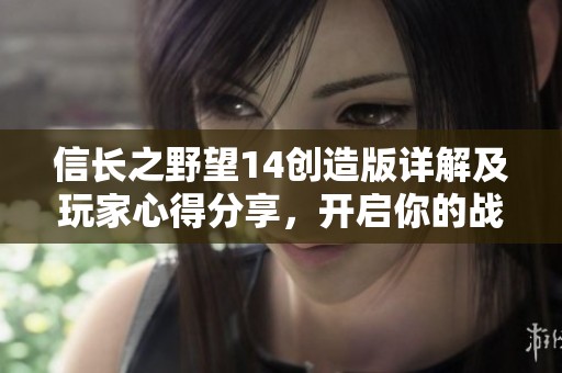 信长之野望14创造版详解及玩家心得分享，开启你的战略之旅