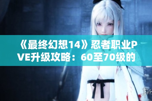 《最终幻想14》忍者职业PVE升级攻略：60至70级的最佳练级策略
