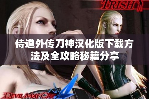 侍道外传刀神汉化版下载方法及全攻略秘籍分享