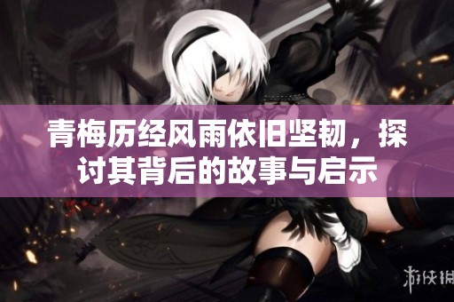 青梅历经风雨依旧坚韧，探讨其背后的故事与启示