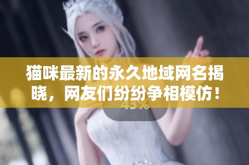 猫咪最新的永久地域网名揭晓，网友们纷纷争相模仿！